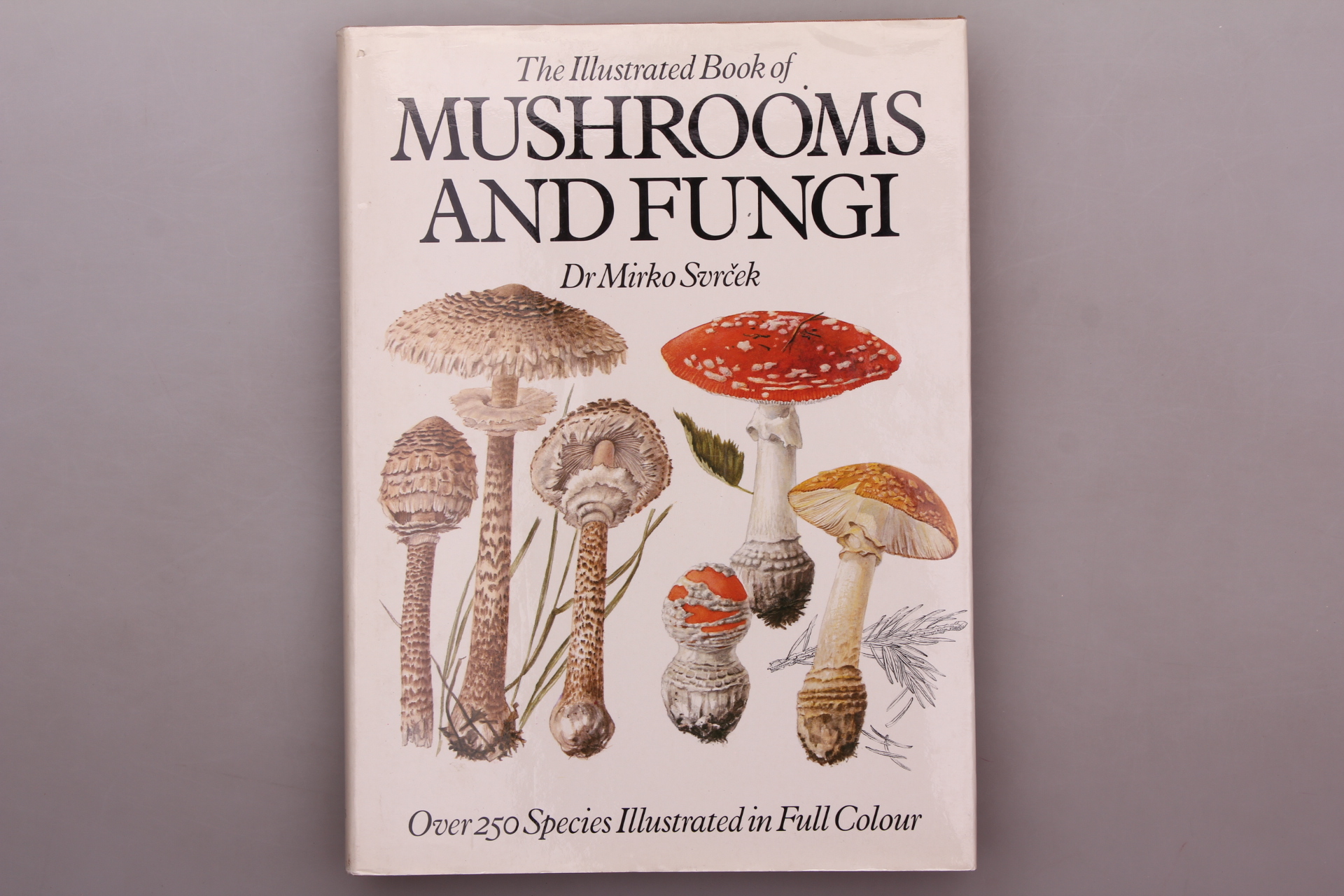 The Illustrated Book of Mushrooms and Fungi INFINIBU Das Buchuniversum