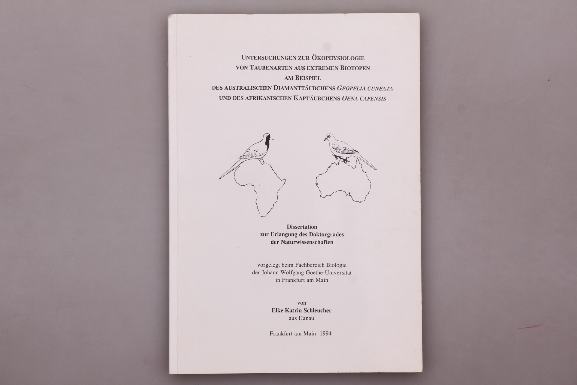 Phd dissertation picture