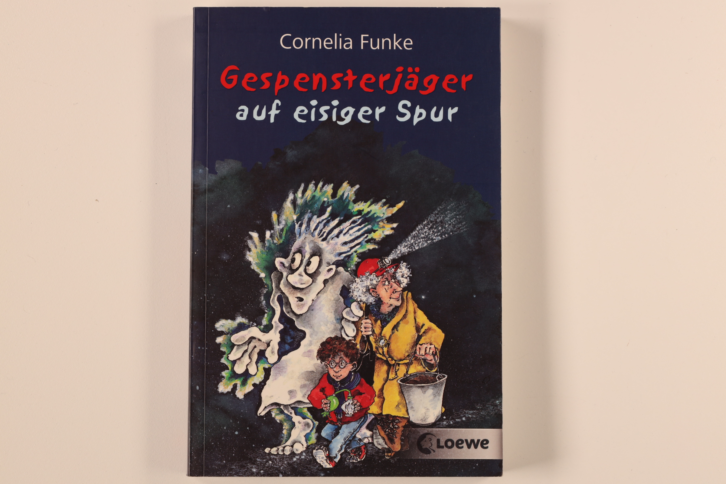 Gespensterjäger Auf Eisiger Spur Fragen Zum Buch www.infinibu.de